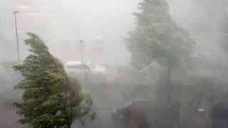 What is happening in South Korea! ⚠️ It's the end of the world! Terrible storm hits Seoul
