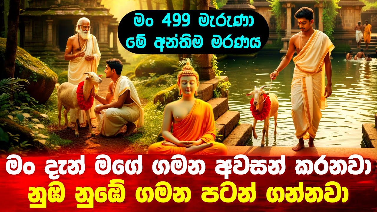 මං 499 වතාවක් මැරුණා මේ අන්තිම මරණයයි 