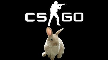 CS:GO - The longest bhop I