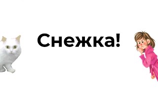 Снежка! 🐱