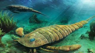 Eurypterids - The Sea Scorpions