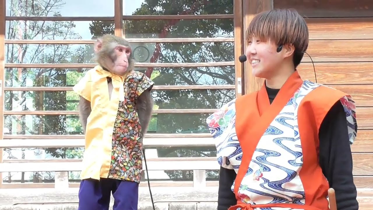 猿まわし　宮地嶽神社　光の道・夕陽まつり2026/02/28