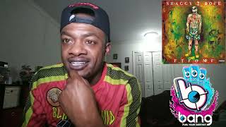 SHAGGY 2 DOPE - TOO DOPE (REACTION)