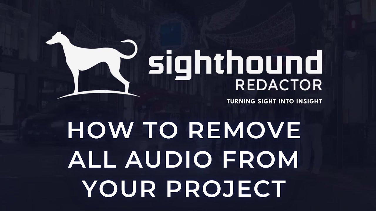 How to Redact Audio From Your Project | Sighthound Redactor | Beginner's Guide to Easy Redaction