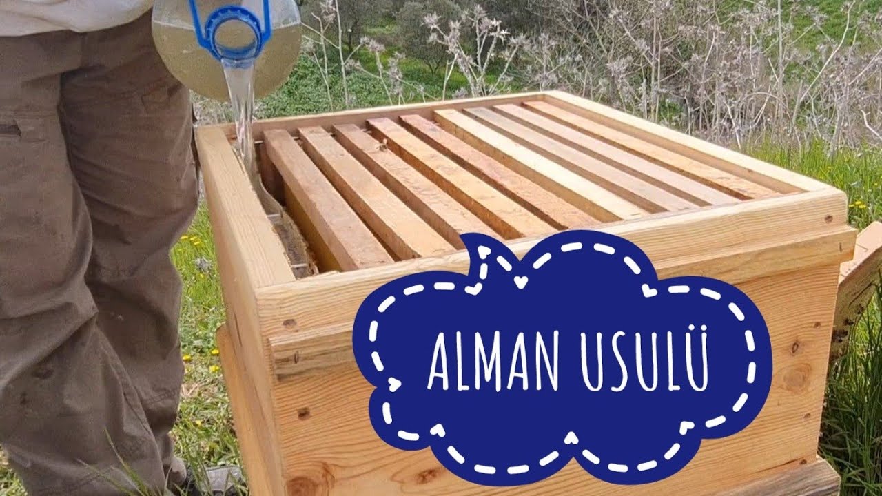 alman usulu kat atma ve snelgrove ile kendi anasını yaptırma