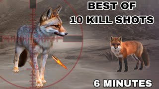 Fox Hunting || 10 Canadion Hunts in 6 minutes #hunting#shorts #wildboarhills #boarhunting