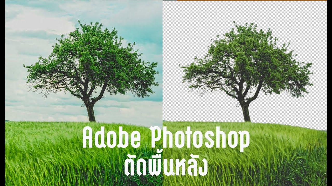 ภาพพื้นหลังสีฟ้าสวยๆ  2022 Update  Adobe Photoshop  ลบภาพพื้นหลัง // Cut Background  ง่ายนิดเดียว