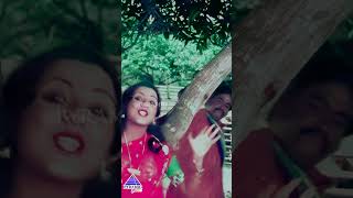 Neram Vandhachu Video Song Thai Meethu Sathiyam Movie Songs Rajinikanth Sripriya