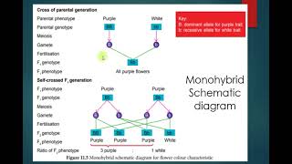 Famous Chapter 11 Inheritance Wealth