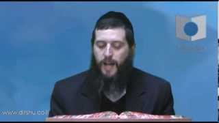 הדף היומי - מסכת יומא דף סט