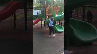 IMG 4146