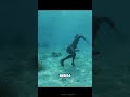 Avatar Dunia Nyata Ada di Indonesia! 🇮🇩 Suku Ini Punya Insang? 😱🌊  #shortsindonesia  #factualguy