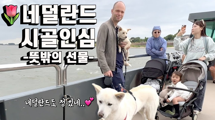 한국사람이 진돗개와 네덜란드 시골에서 배를 타면 생기는 일 | 이민 정착기14