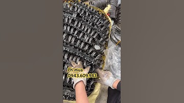 Cạm 9!đánh chuột đồng chuột thịt siêu hiệu quả