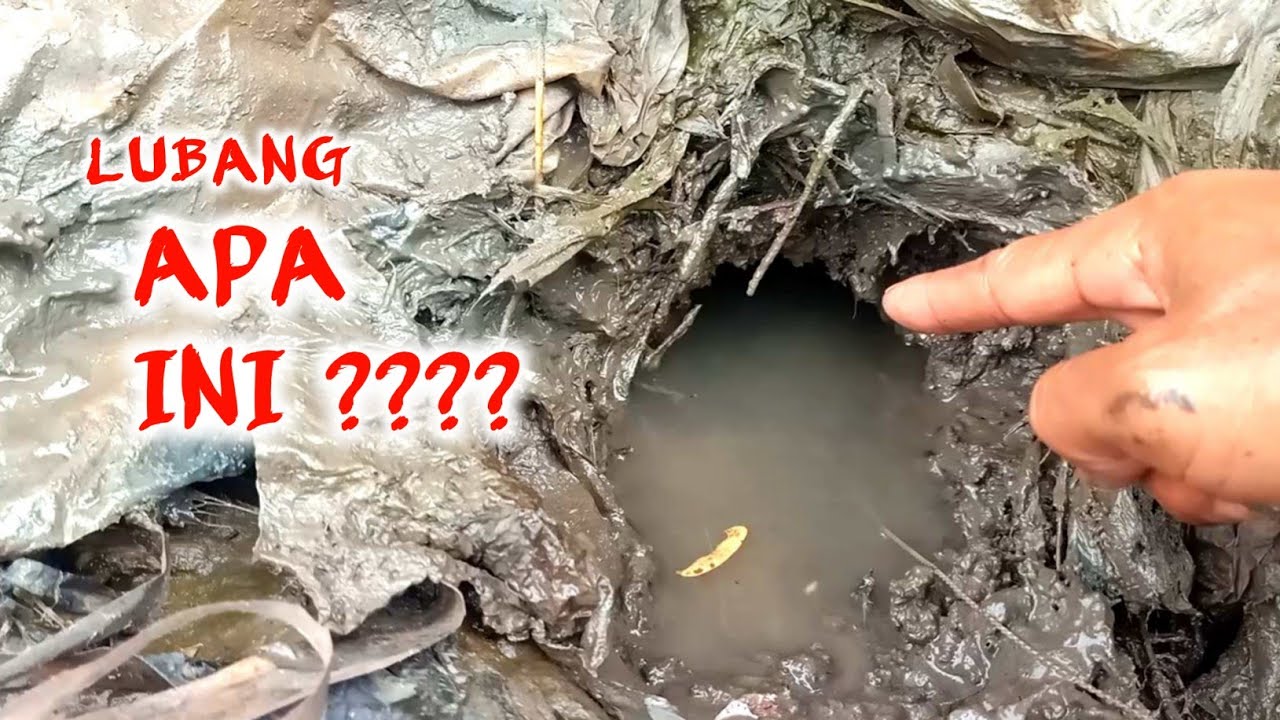 JUMPA SPOT SUNGAI ENCENG GONDOK !!! BEGINI CARA CARI LUBANG BELUT NYA