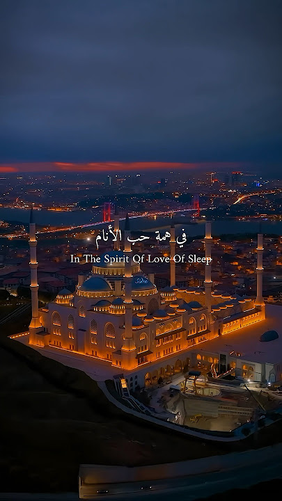 Ya Quluban😍🎧 | aesthetic video with lyrics #shorts
