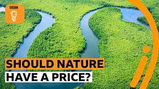 Is the Amazon worth more than Amazon? | BBC Ideas