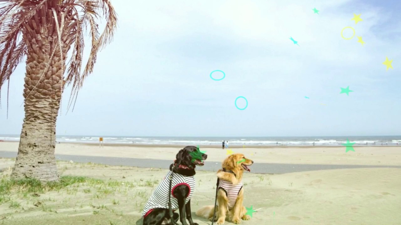 Watch Holiday on the beach on YouTube Watch Holiday on the beach on YouTube