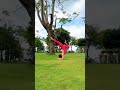 Nắng sớm Viên ra vườn🧘🎶🌻♥️ #yoga #music