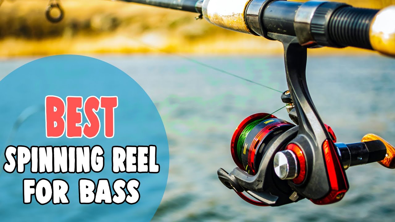 Best Spinning Reel for Bass in 2021 – Enjoy Extreme Fun! 