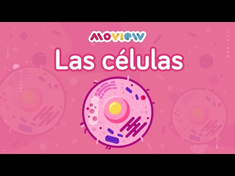 Las células - Conoce a los pequeños bloques que dan soporte a toda la vida del planeta.