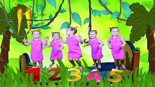 Five Little Babies Jumping On The Bed 5 Malih Majmuna