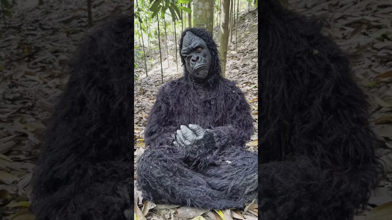 I Met a Gorilla   and I Escaped 🦍😱 