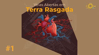Ep 1 Veias Abertas em Terra Rasgada | Raça, Classe, Gênero e Cidade