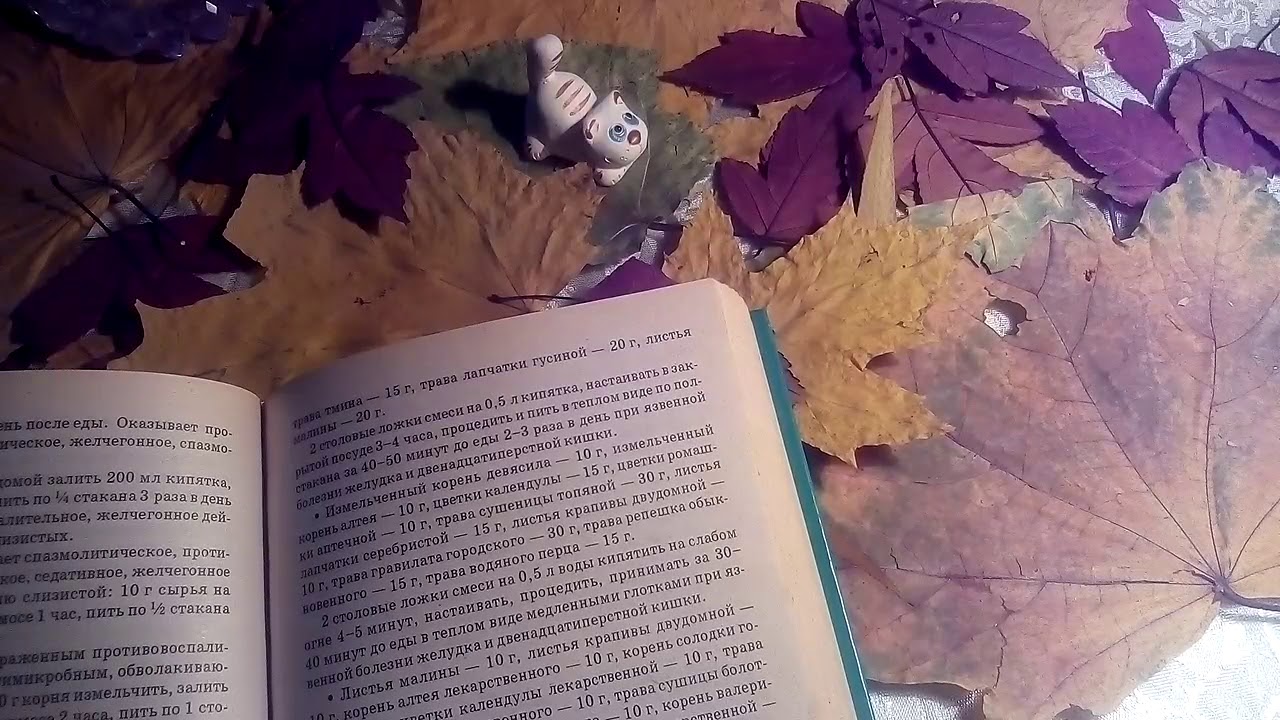 Язвенная болезнь желудка и двенадцатиперстной кишки - лечение. - YouTube