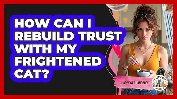 How Can I Rebuild Trust With My Frightened Cat? - Happy Cat Handbook