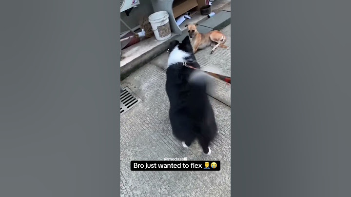 I’ve Never Seen Him This Happy 😭