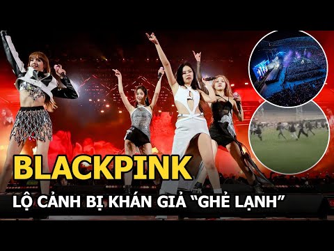 Video: Nghệ sĩ tại Coachella không mang về nhà tiền lương lớn