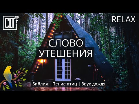 Расслабься в Божьем присутствии | Молитва и Слово Божье | Звук дождя и пение птиц | Relaxing