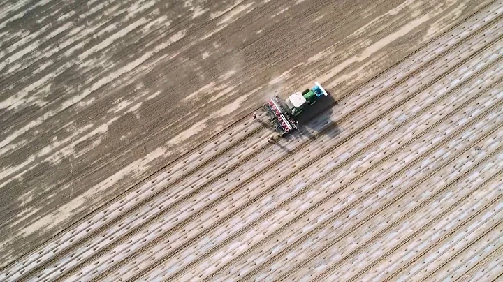 GLOBALink | Modern farming technology facilitates cotton planting in China's Xinjiang