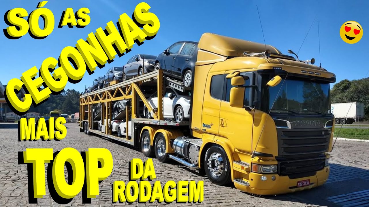 Só as CEGONHAS TOP  P-3