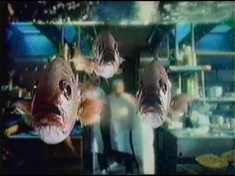 カネボウ　フリスク　CM　鯛　日本料理