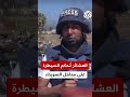 هي ارضنا هي ارضنا نحميها ونحمي عرضنا اكسبلور Flowers Lifeisbutadream هي ارضنا هي ارضنا نحميها ونحمي عرضنا اكسبلور Flowers Lifeisbutadream