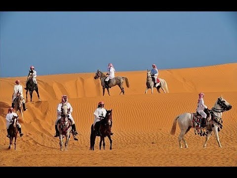 الملحمة العامرية للشاعر ناصر الفراعنة يادار غض العود كيف الحال