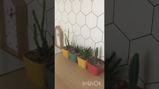 видео: Как Wildberries обманывает покупателей. Вся правда о Вайлдберриз. картинка: Как Wildberries обманывает покупателей. Вся правда о Вайлдберриз.