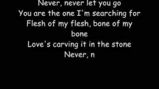 NEVER LET YOU GO with lyrics Net Worth