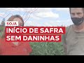 Veja como o Nestor fez o controle pré-emergente de daninhas!