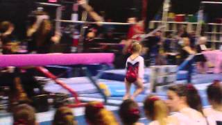 Flip Into Spring 3/14/14 Vault