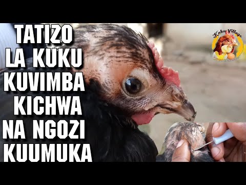 Video: Jinsi Ya Kupika Safu Za Kuku Kwenye Kiingilio Cha Hewa