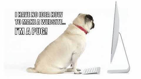 Hire Top Web Developers From CodeClouds