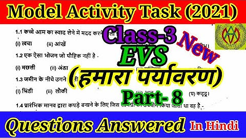 Model Activity Task Class 3 Hamara Parivesh Part 8 In Hindi Solutions November 2021 New