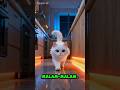 “Kucing ini ketahuan nyolong… 😱”#shorts #kartun3D #kucinglucu #animasilucu #viralshorts #pippitai