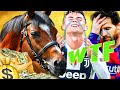 CABALLO mas caro del mundo GANA MAS DINERO QUE MESSI y CRISTIANO RONALDO|Hipica4patas