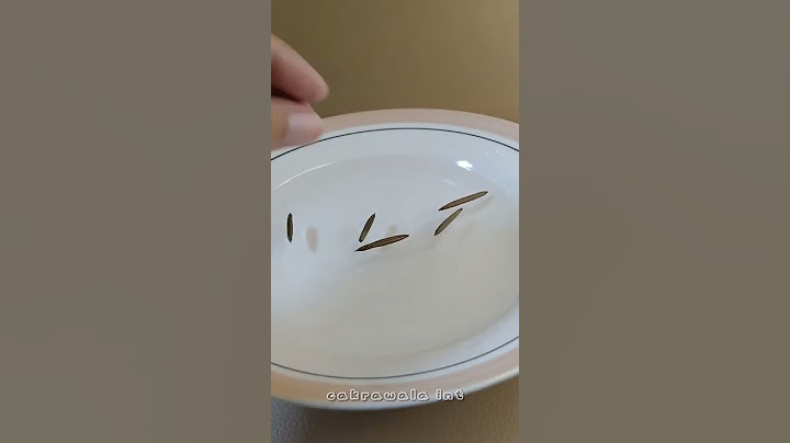 The seeds of this plant explode when wet