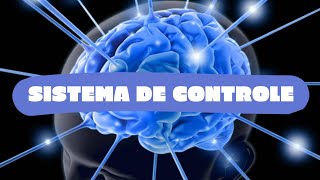 SISTEMA DE CONTROLE - ||| UNIDADE| Professora: Núbia - 5° ano SISTEMA DE CONTROLE - ||| UNIDADE| Professora: Núbia - 5° ano