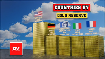 Gold Reserves by Country 2025 | Top 10 Countries 3D Data Visualization | @dataviz13
